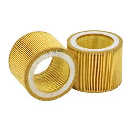 Filtr Powietrza SL 81082