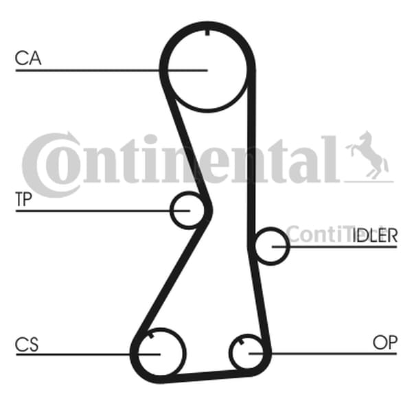 CONTITECH CT1016 - CONTITECH PASEK ROZRZĄDU MITSUBISHI 2,0