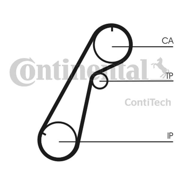 CONTITECH CT1020 - CONTITECH PASEK ROZRZĄDU MAZDA 2,5TD