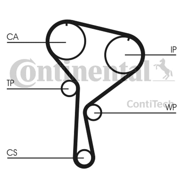 CONTITECH CT1035WP1 - CONTITECH ZESTAW ROZRZĄDU RENAULT 1,5DCI 00-