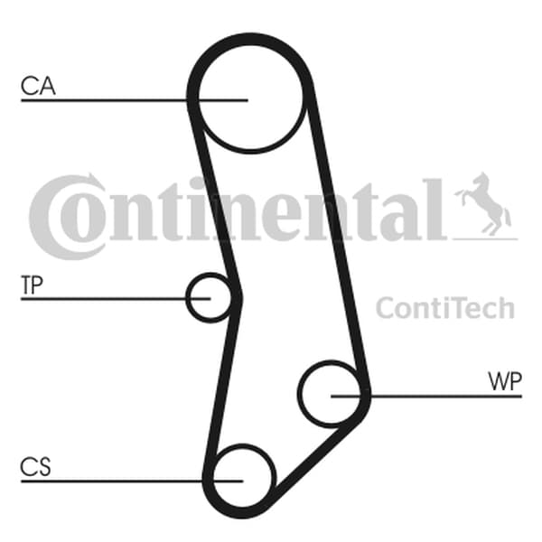 CONTITECH CT503 - CONTITECH PASEK ROZRZĄDU FIAT 1,0-1,1