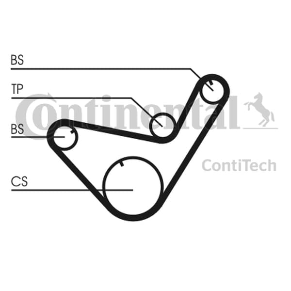 CONTITECH CT714 - CONTITECH PASEK BALANSU MITSUBISHI 2,5D