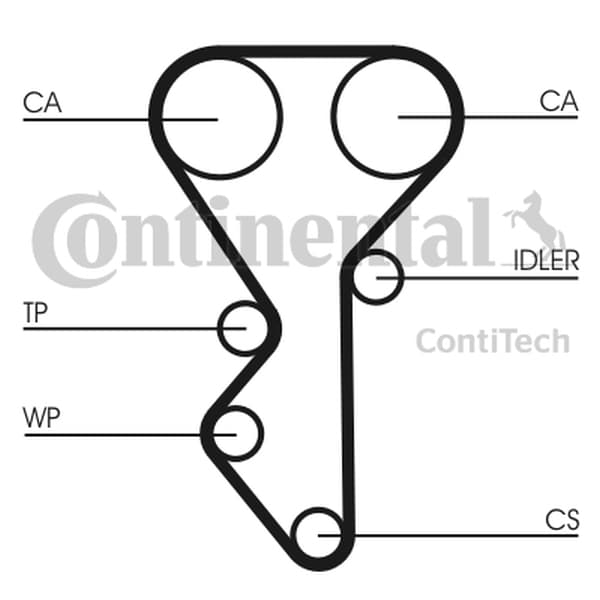 CONTITECH CT955 - CONTITECH PASEK ROZRZĄDU CITROEN 1,8 16V