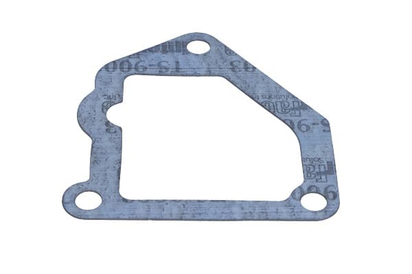 LEMA IVLEMA24812 - LEMA USZCZELKA TERMOSTATU IVECO