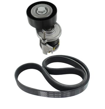 SKF VKMA31012 - SKF ZESTAW PASKA WIELOROWKOWEGO VW 1,9SDI