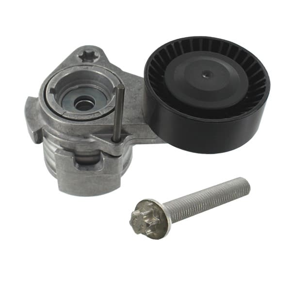 SKF VKM38250 - SKF NAPINACZ PASKA WIELOROWKOWEGO BMW