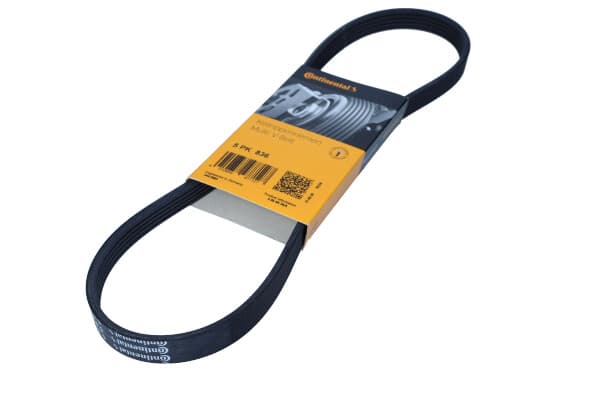 CONTITECH 5PK836 - CONTITECH PASEK WIELOROWKOWY 5PK836