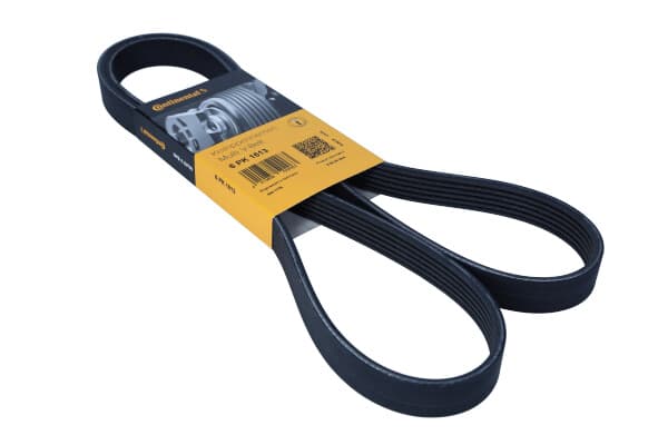 CONTITECH 6PK1613 - CONTITECH PASEK WIELOROWKOWY 6PK1613