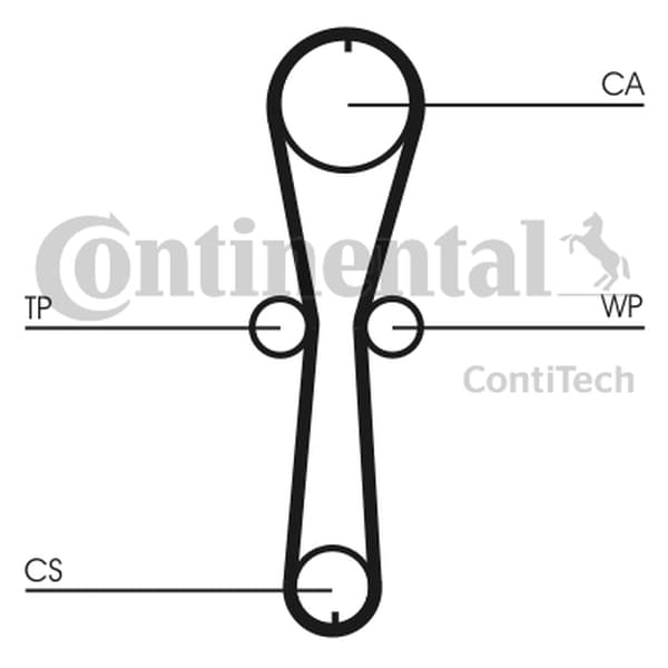 CONTITECH CT915WP1 - CONTITECH ZESTAW ROZRZĄDU RENAULT 1,2