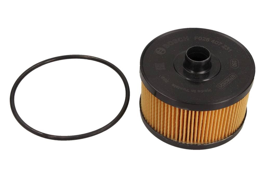 BOSCH F026407231 - BOSCH FILTR OLEJU NISSAN JUKE/QUASHQUAI 1,2DIG-T 14- DACIA DOKKER 0,9/1,2TCE 12-