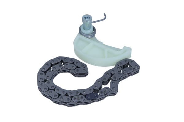 FEBI FE170308 - FEBI ZESTAW ŁAŃCUCHA ROZRZĄDU (POMPY OLEJU)