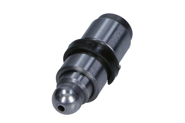 PI 06-0008