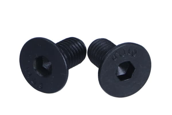 QUICK BRAKE QB11665K - QUICK BRAKE KOMPLET=2SZT ŚRUBA TARCZY HAMULCOWEJ FORD TYŁ FIESTA 17-