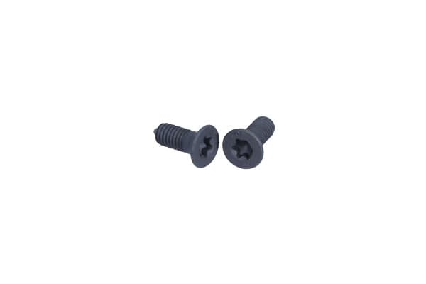 QUICK BRAKE QB11667K - QUICK BRAKE KPL=2SZT!!!! ŚRUBA TARCZY HAM. SKODA P./T. CITIGO/FABIA/OCTAVIA/RAPID/ROOMSTER/SUPERB/YETI 00-