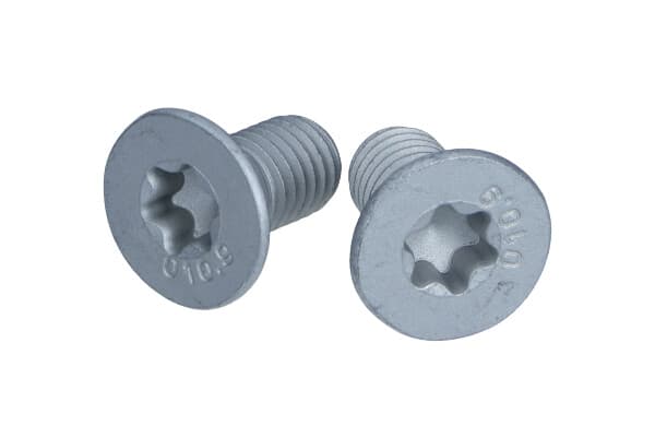 QUICK BRAKE QB11669K - QUICK BRAKE KPL=2SZT!!!! ŚRUBA TARCZY HAM. MINI P./T. COOPER/ONE/WORKS 01-15