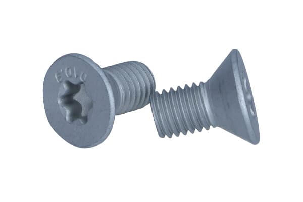 TEXTAR TPM0010 - TEXTAR KPL=2SZT!!!! ŚRUBA TARCZY HAM. MINI P./T. COOPER/ONE/WORKS 01-15