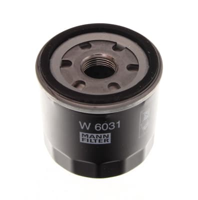 W6031