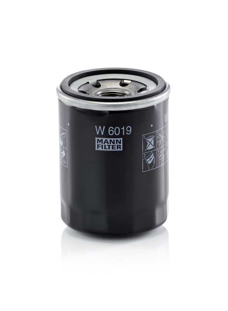 W6019