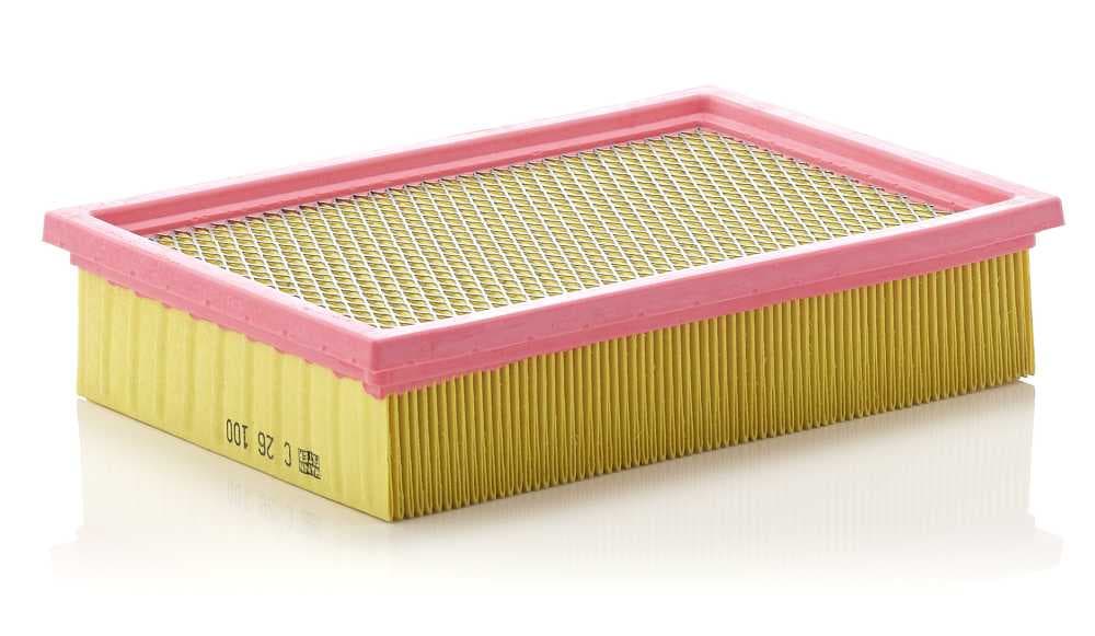 C26100